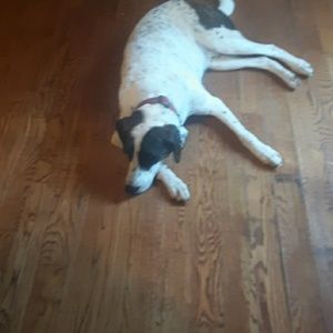 Meet your Posher, Ava